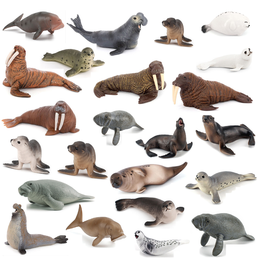 Realistic Dugong Manatee Walru - Kids Education Picture review and price