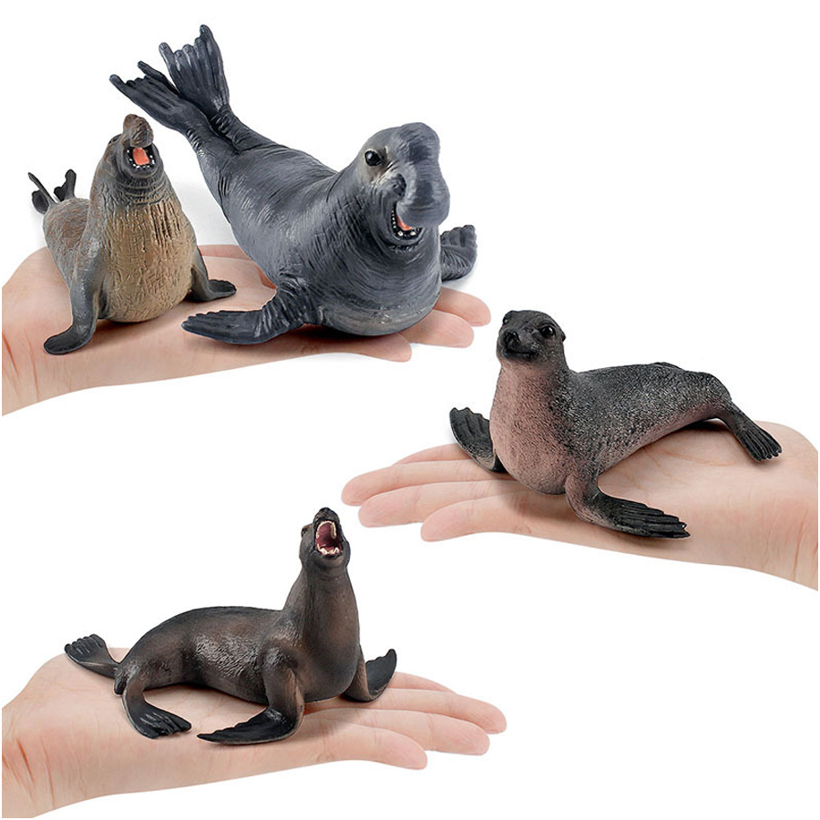 Realistic Dugong Manatee Walru - Kids Education Picture review and price