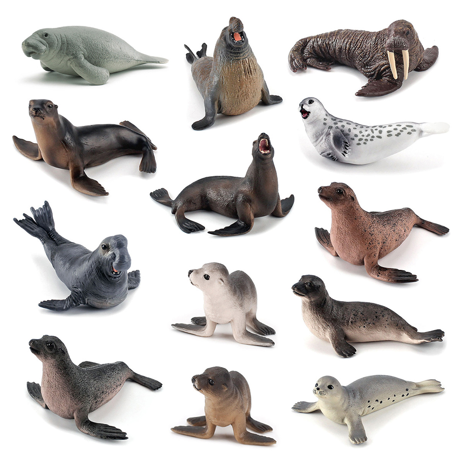 Realistic Dugong Manatee Walru - Kids Education Picture review and price