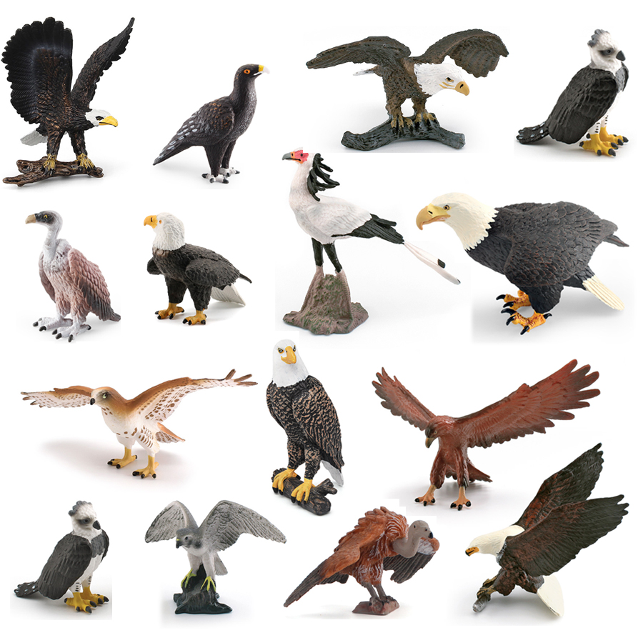 Realistic Wildlife Animal Bird - Kids Education Picture review and price