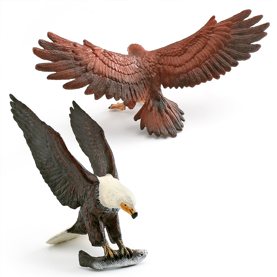 Realistic Wildlife Animal Bird - Kids Education Picture review and price