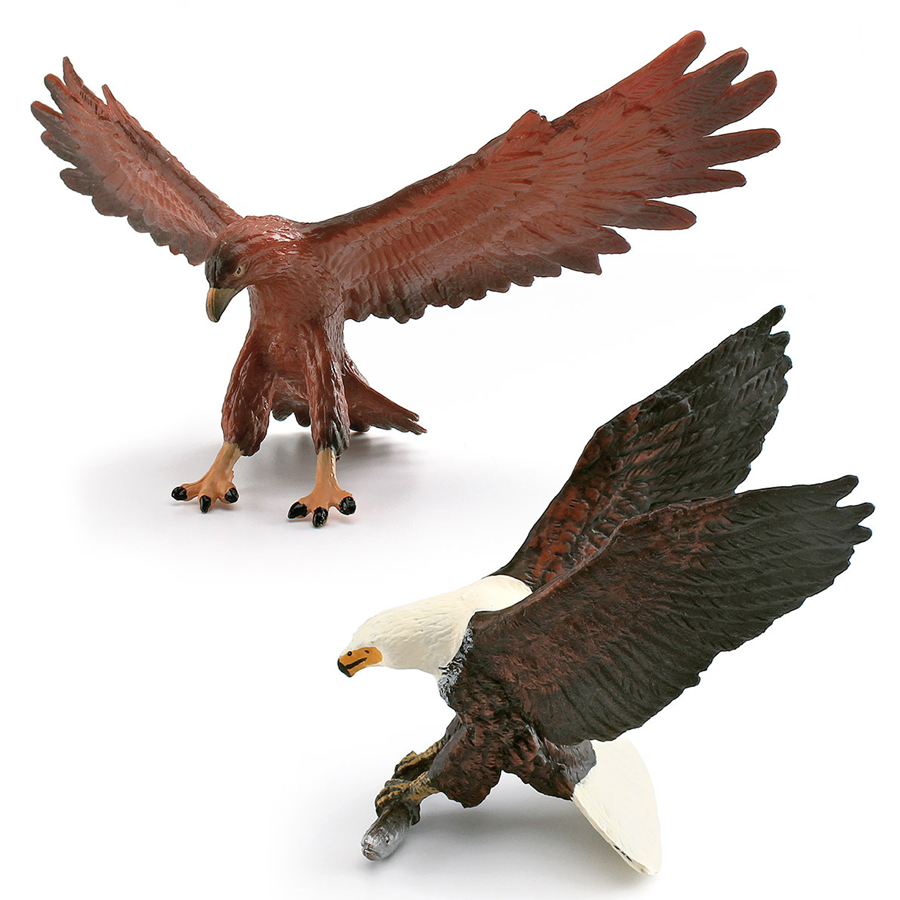 Realistic Wildlife Animal Bird - Kids Education Picture review and price
