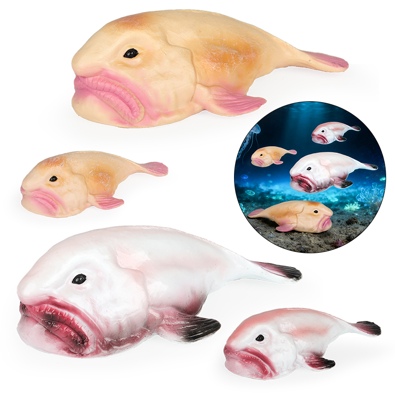 Oenux Australia Deep-Sea Fish  - Kids Education In Australia review and price