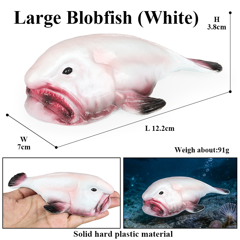 Oenux Australia Deep-Sea Fish  - Kids Education In Australia review and price