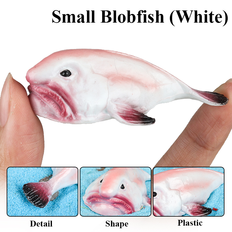 Oenux Australia Deep-Sea Fish  - Kids Education In Australia review and price