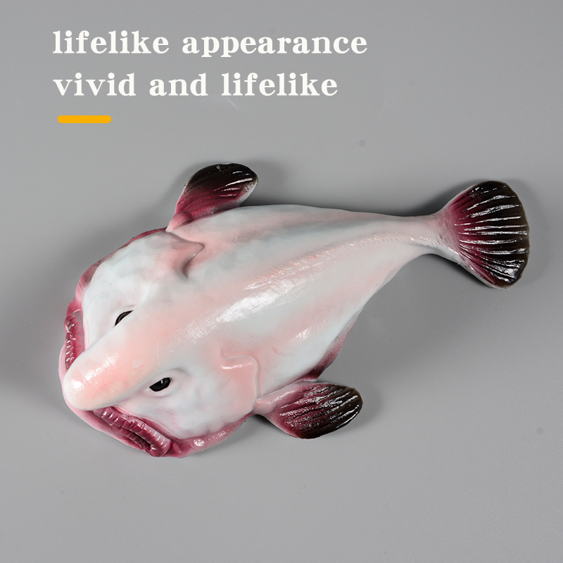 Australia Deep-Sea Blobfish Ps - Kids Education In Australia review and price