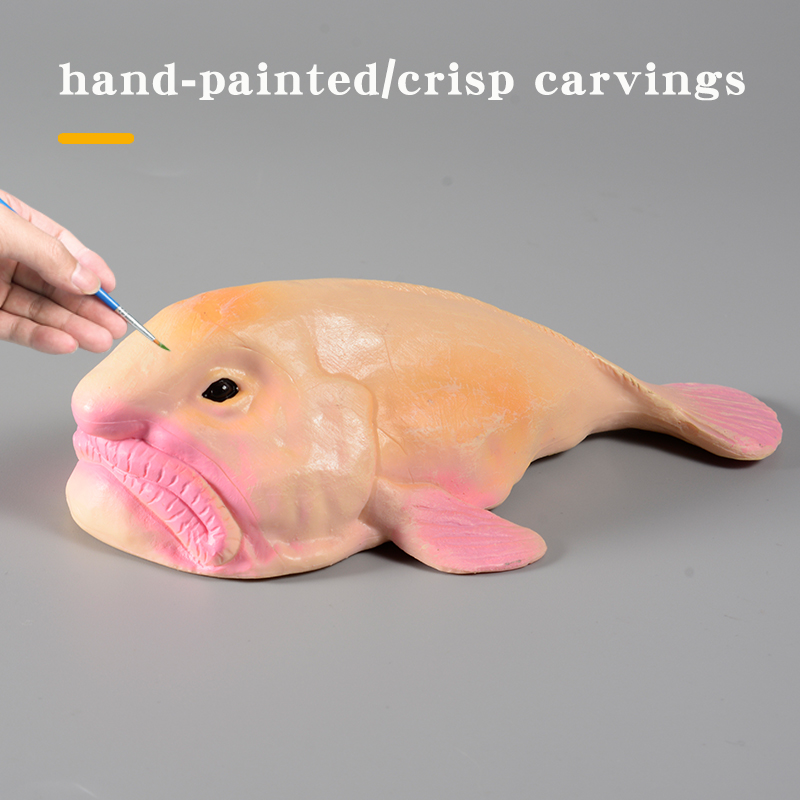 Australia Deep-Sea Blobfish Ps - Kids Education In Australia review and price