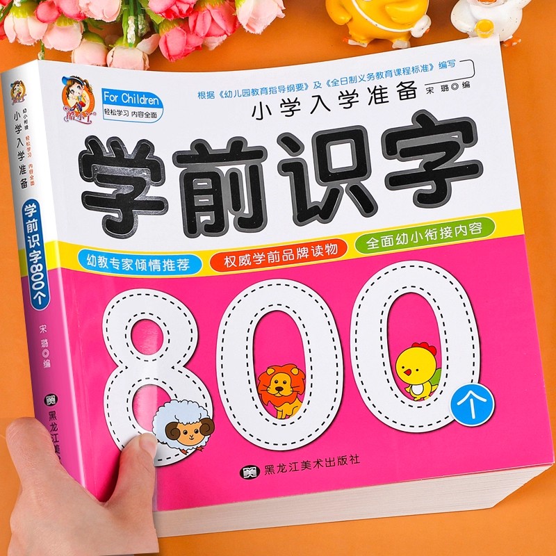Preschool Literacy: 800 Chines - Kids Education Picture review and price