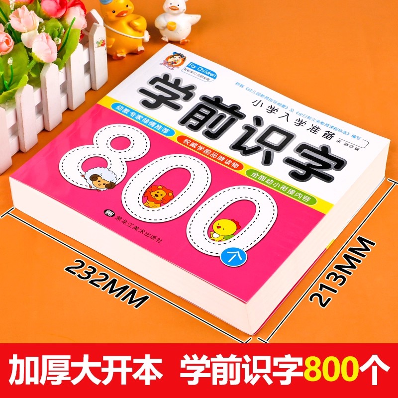 Preschool Literacy: 800 Chines - Kids Education Picture review and price