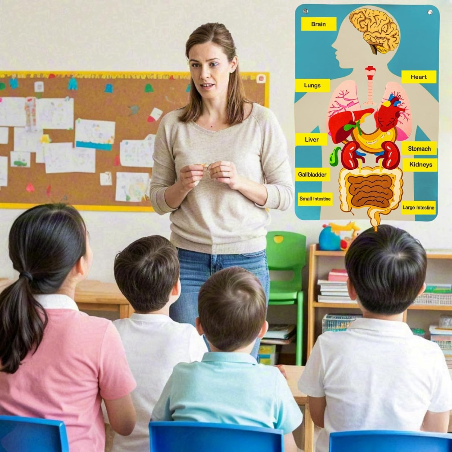 Human Body Parts Felt Board St - Kids Education Story review and price