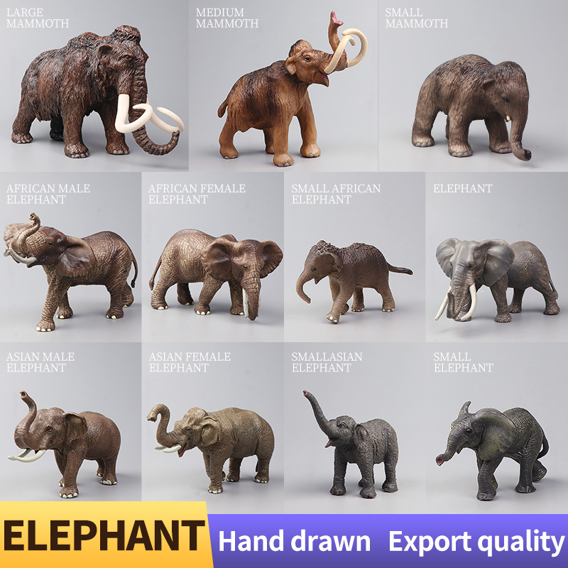 African Wild Animals Big Mammo - Kids Education Picture review and price