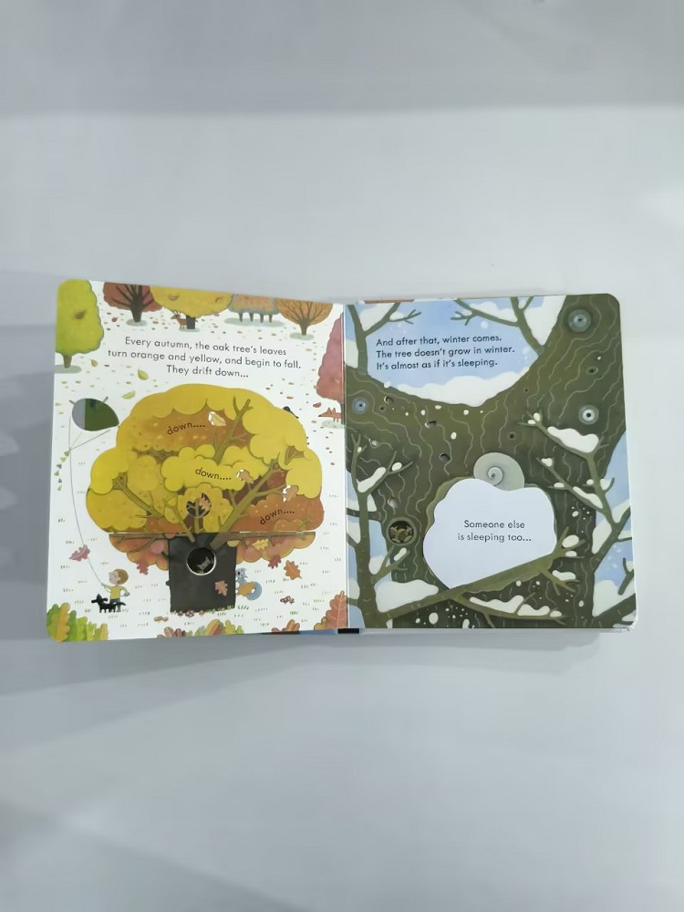 Usborne Peep Inside A Tree 3D  - Kids Education Picture review and price