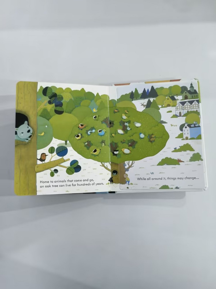 Usborne Peep Inside A Tree 3D  - Kids Education Picture review and price