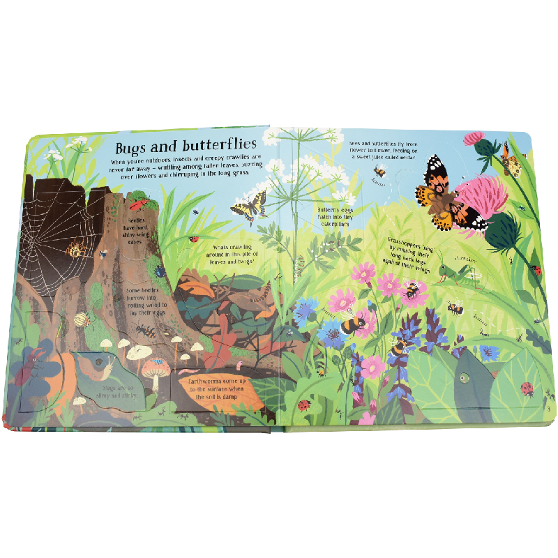 English Montessori 3D Usborne  - Kids Education Picture review and price