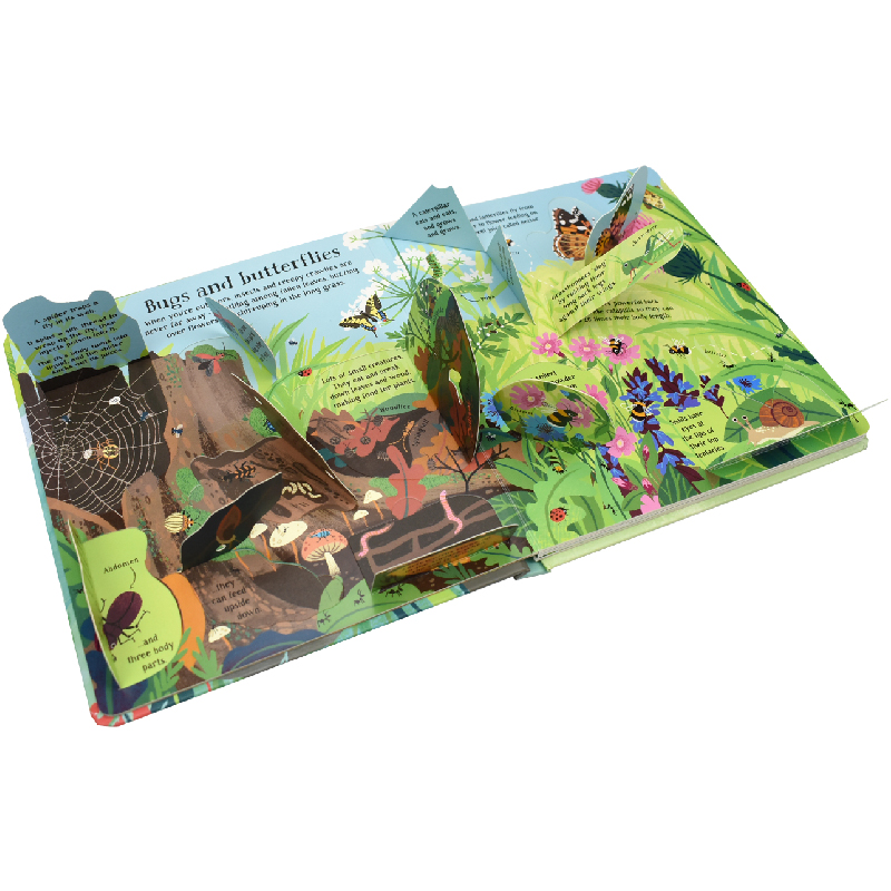 English Montessori 3D Usborne  - Kids Education Picture review and price