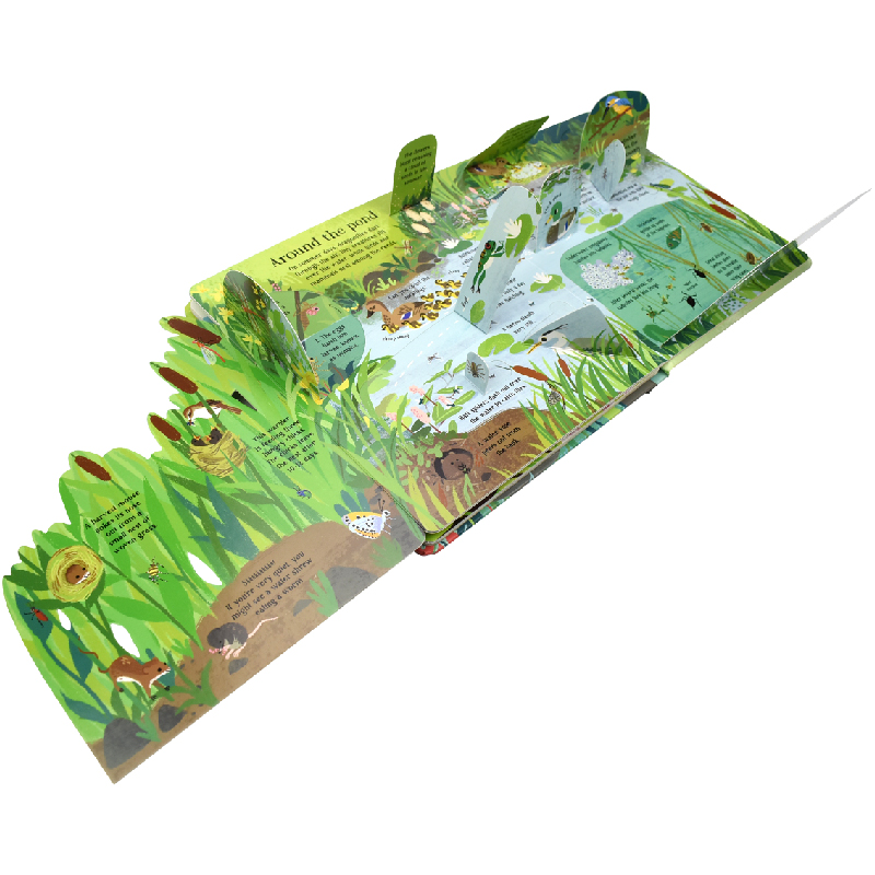 English Montessori 3D Usborne  - Kids Education Picture review and price