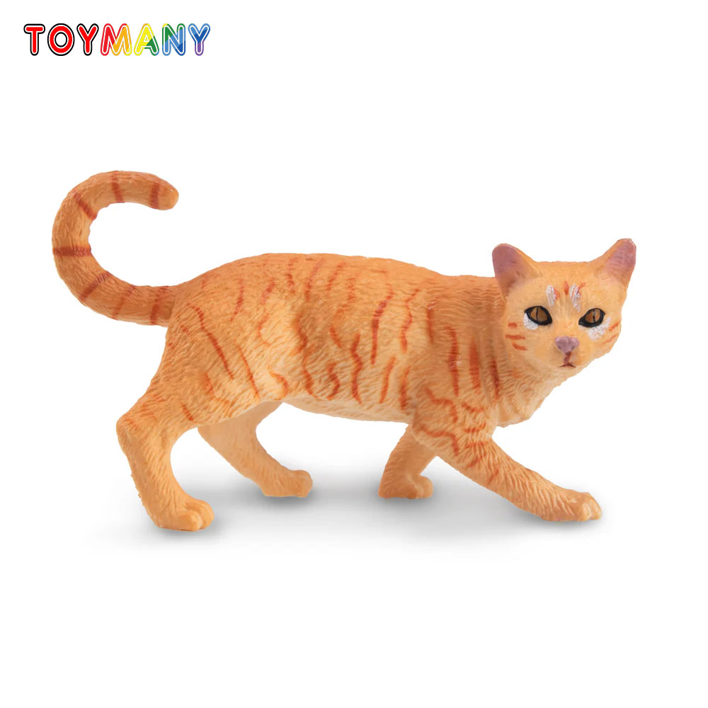 Toymany Simulation Striding Or - Kids Education Yes review and price
