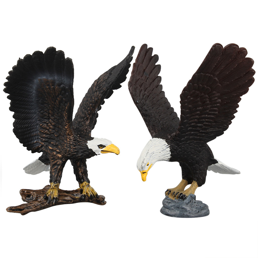 Realistic North American Anima - Kids Education Picture review and price