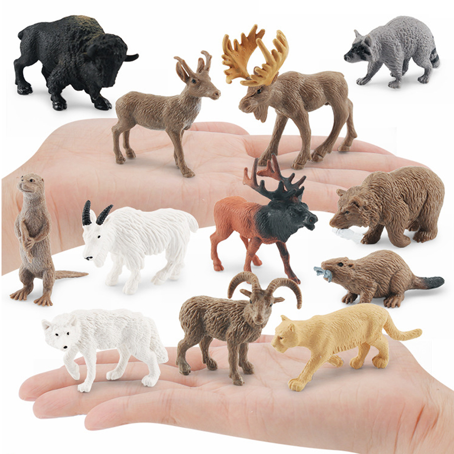 Realistic North American Anima - Kids Education Picture review and price