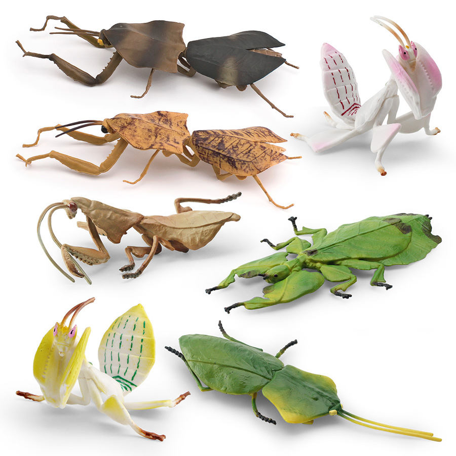 Realistic Orchid Mantis Dead L - Kids Education Picture review and price