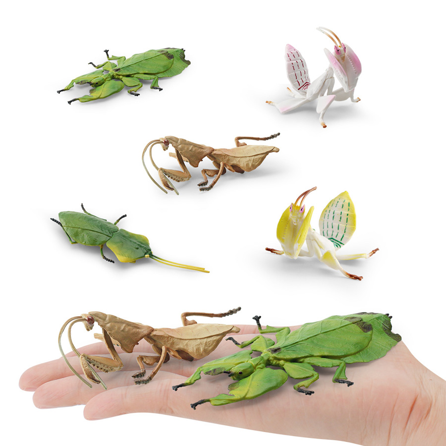Realistic Orchid Mantis Dead L - Kids Education Picture review and price